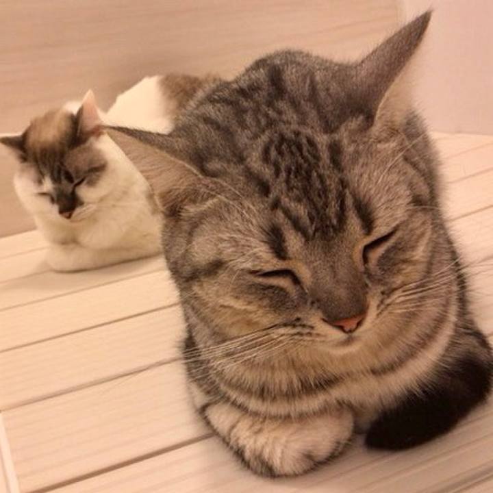 55d6b695 e8c3 4d07 a866 c116e5d906d2 1546946362992