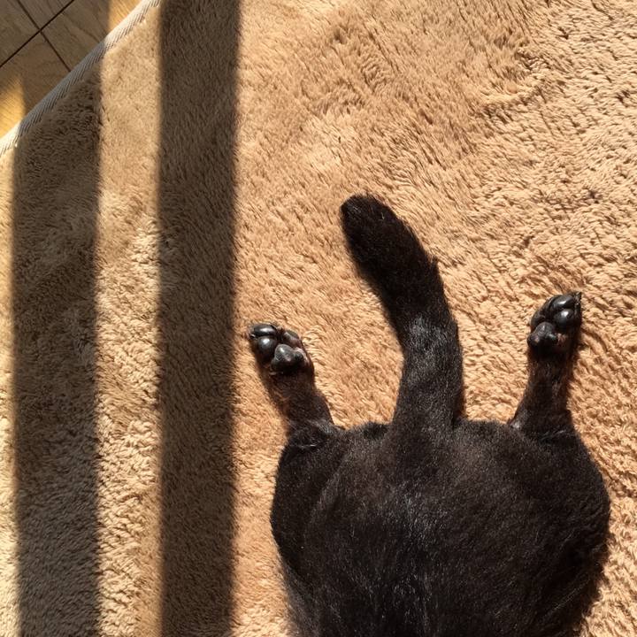 55d6fb3a 2d64 4af6 a2da 54f91013a04f 1525386651274