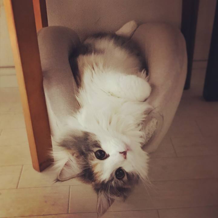 55d7041d cbac 4594 9609 b6ea5cecc8ad 1515377989555