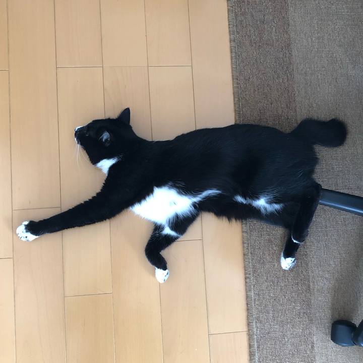 55d70f45 514c 4615 852d 0f1a7df4cddb 1550547909708