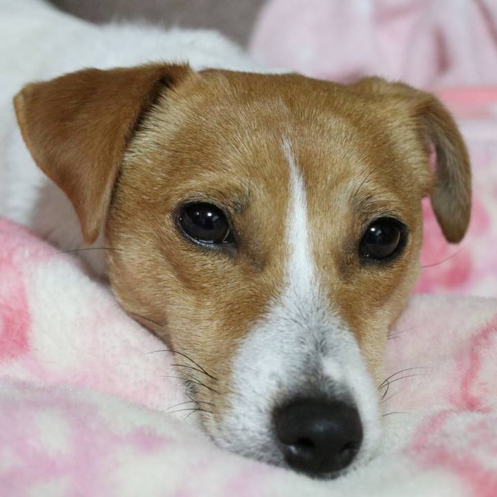 55d7269b 3acd 41e2 ab83 a4269e7de67f 1514973641342