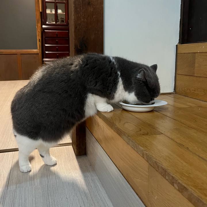 55d74a7f b63c 4c1c a365 29f207e747b2 1644027023371