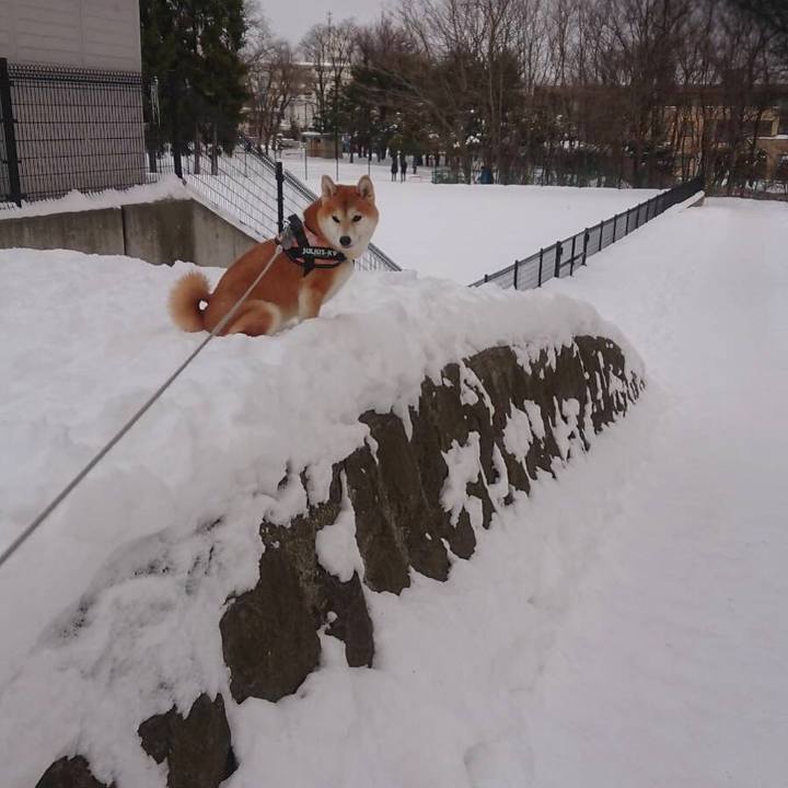 55d76615 9a92 4ef3 b8c9 e545e4ef8c8b 1546574549511