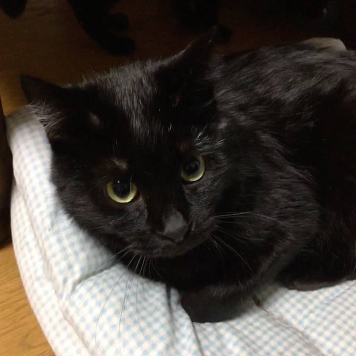 55d771c6 e2a7 42c6 8eac b381990ed2ed 1542271314108