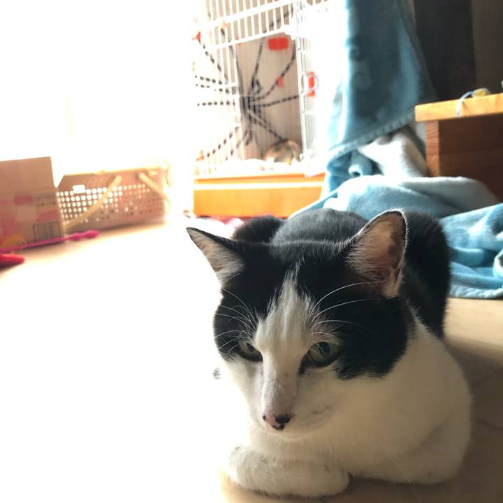 55d7ab40 c000 4083 841b 32a837ade6fb 1572761078287