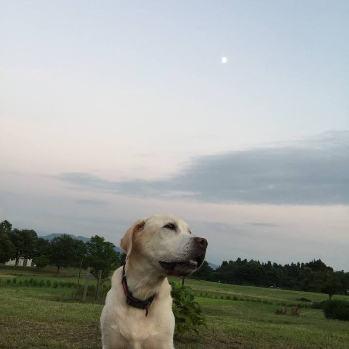 55d7b74d 9f62 4db8 beb3 5cb79ee5952f 1567431653173