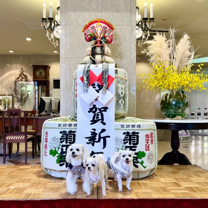 55d7ba6d aa96 40f9 9a05 3615a67ebe13 1672569230653