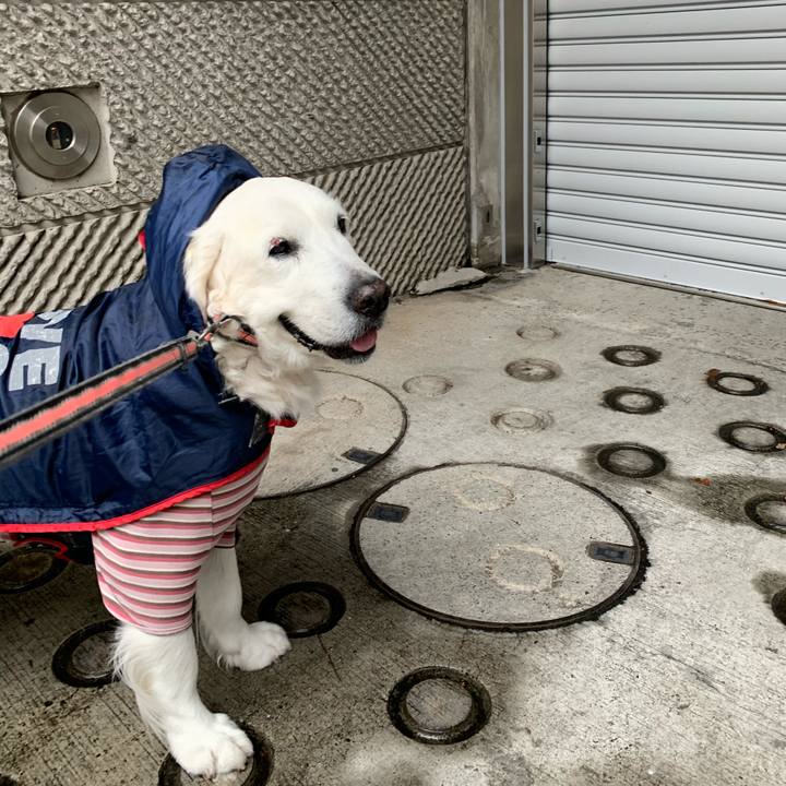 55d7bd67 0206 48eb 82b3 986920185ae8 1574833825820