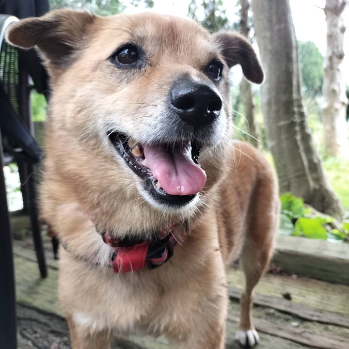 55d7ce18 5053 4185 902f 7058b830590a 1727694816012