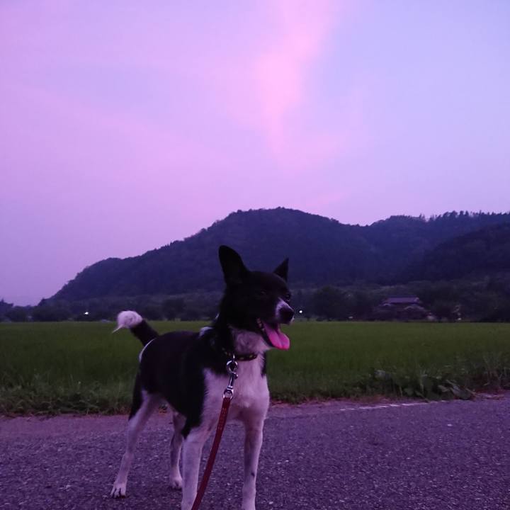 55d81e2e b124 4d48 ba83 8a992825a061 1531826514407