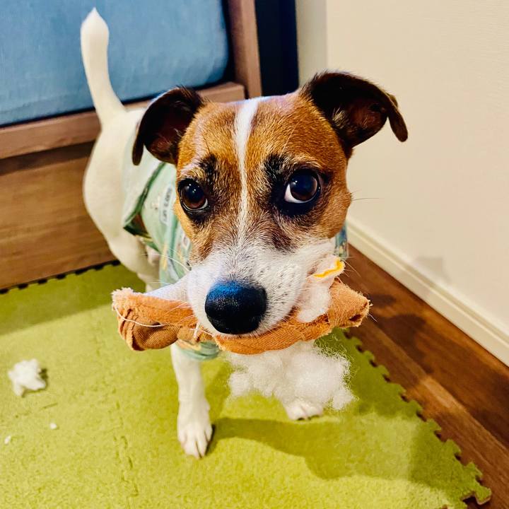 55d87eb1 3471 44f7 88ee 841841498e7a 1740641899928