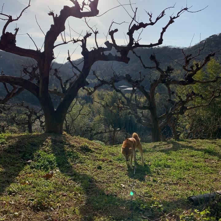 55d8ac91 2b43 4c39 b65b f0e678a3caaa 1582384135307