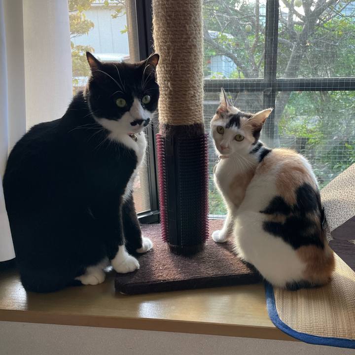 55d8d4d6 2786 4958 aec6 a8ae07f3caaf 1696197473278