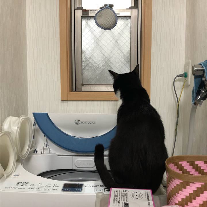 55d8e429 2022 4952 82fa eebd69695800 1556326214264