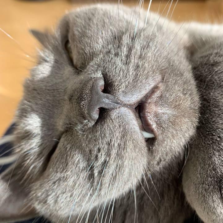 55d91590 cf24 413a b174 1ab119fa2be6 1674267037359