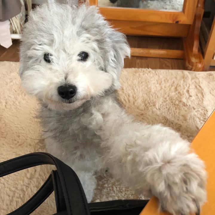 55d91e76 d788 4484 8ddc 7eb7a4193077 1540768204147