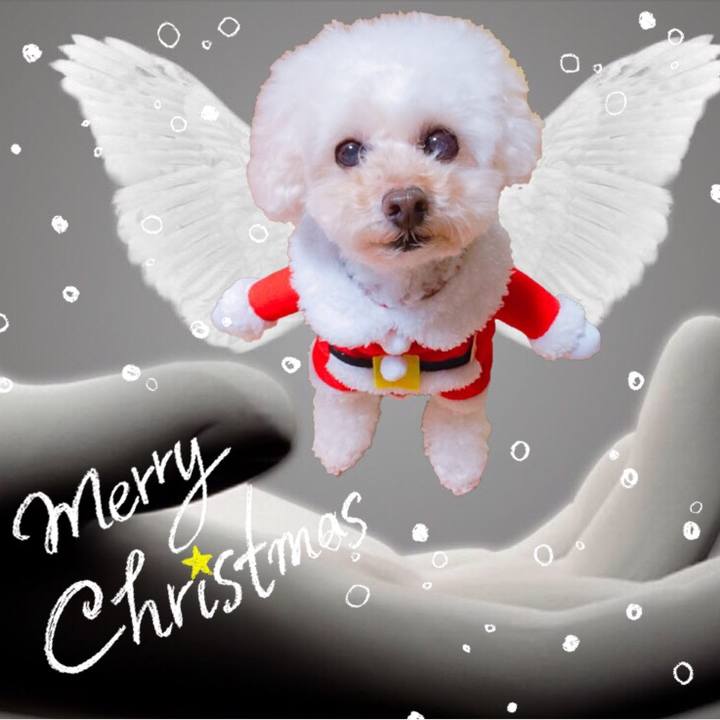 55d96d8e 4507 4f47 b2ce f87befbd0de5 1545735095681