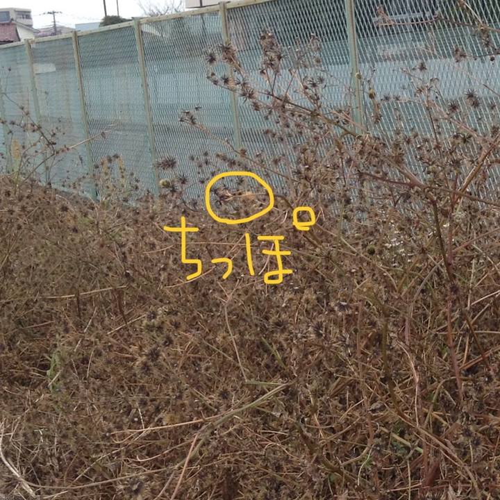 55d97b84 ca11 4841 b5d9 24fdf83b68bc 1545530504009