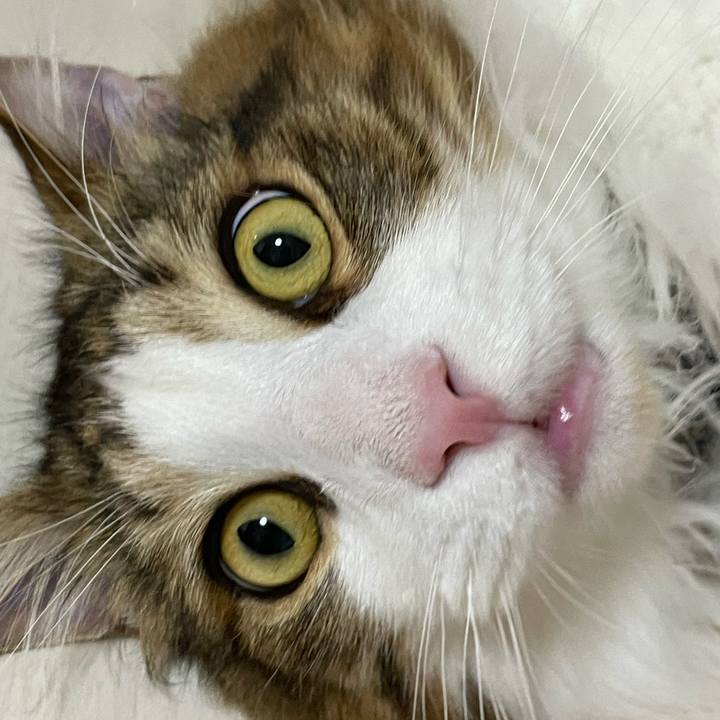 55d9c4cd a359 4c52 82e2 ef98c1ab19cf 1653304654876