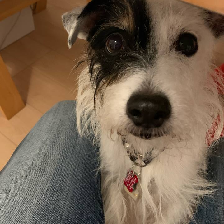 55da07c8 a28a 4460 9a6e d53bb19b6efe 1699959122602