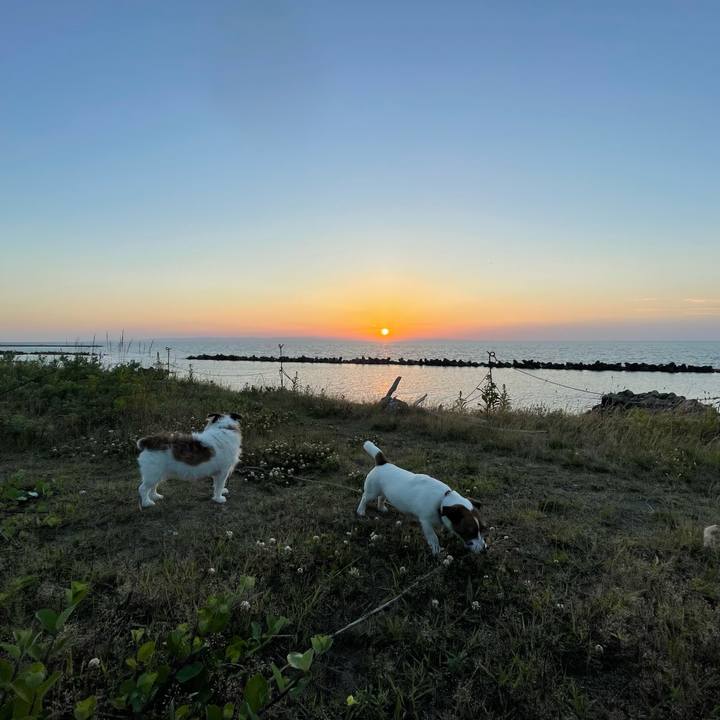 55da7996 aba3 4d33 b78c b56b1ca52418 1750158699829