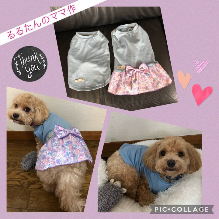 55da8605 283d 4a63 a19c 9a057e306185 1629614685148