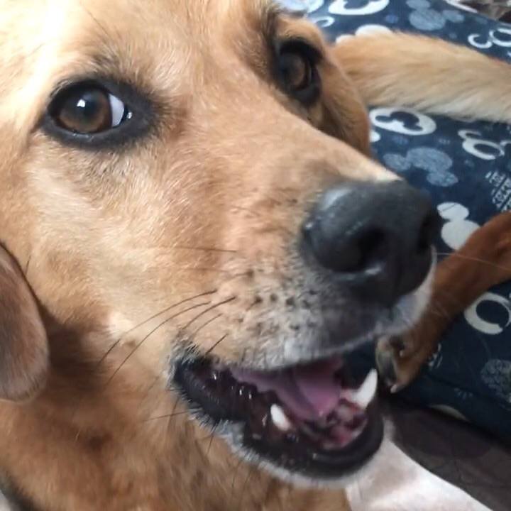 55dabbd6 512e 4c50 a603 eba641e34749 1530488339167