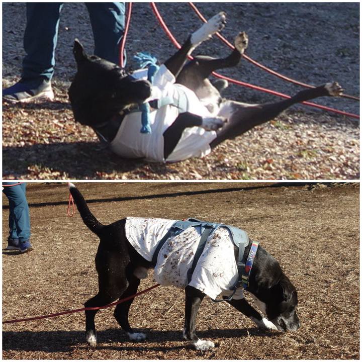 55dad7b2 0cea 4836 aff8 94cdf7b23bf8 1707786335242