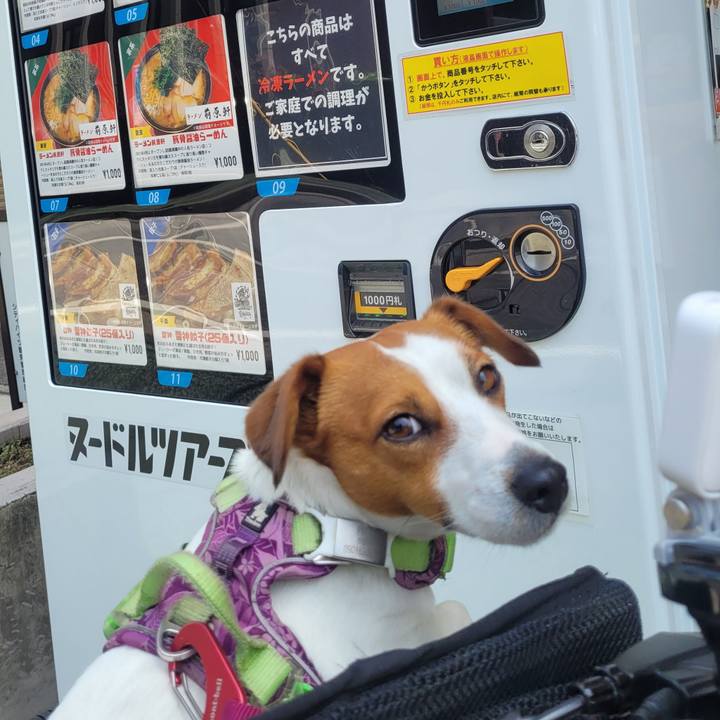 55daf5d6 5a79 414e be00 52de4e36f0c5 1652857772754