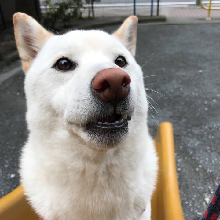 55db102e cbbe 4083 9907 e17487bf7701 1508802399220