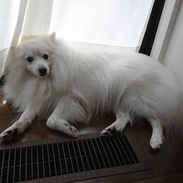 55db1647 073f 4807 a30c f81a0956d0c8 1593842892586