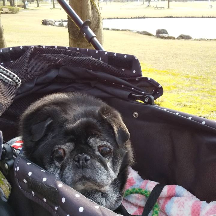 55db2374 6d49 474e 9386 e6963ecb6949 1553668305219