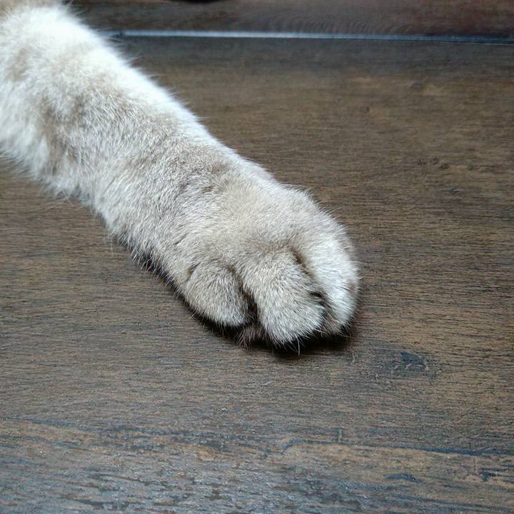 55db42f6 3aab 4d2e b646 ce72754ec187 1696176833401