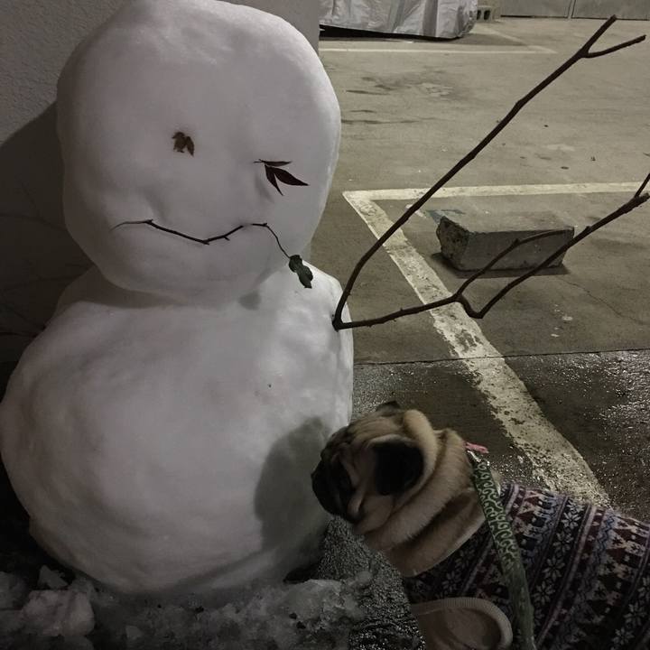 55db542f a3d7 4eb5 9308 12cff445d796 1516722636516