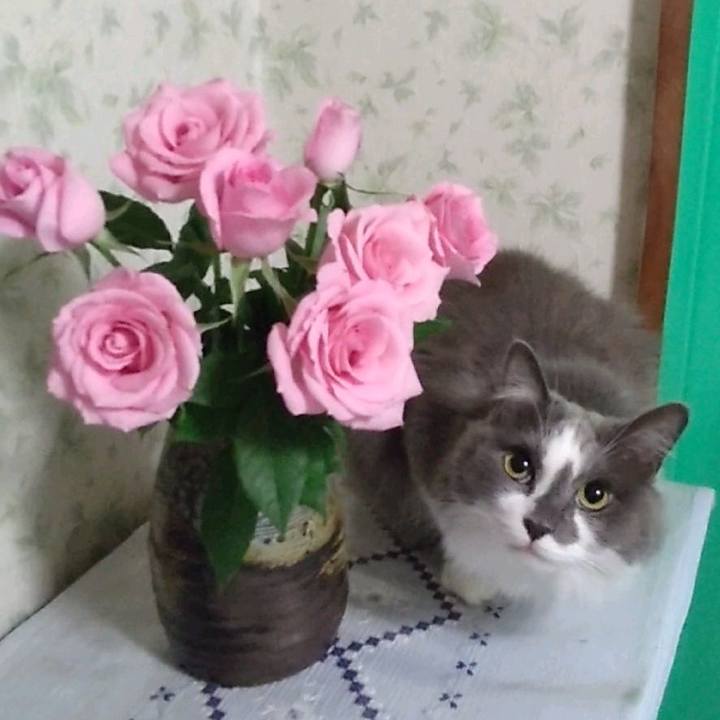 55db5eec 9dbe 42cb b49b 42fb67f80f04 1669008095653