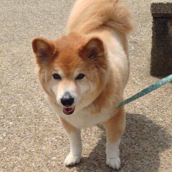 55dbb500 dbf4 45f2 86c5 322cd8f30a9b 1570951109336