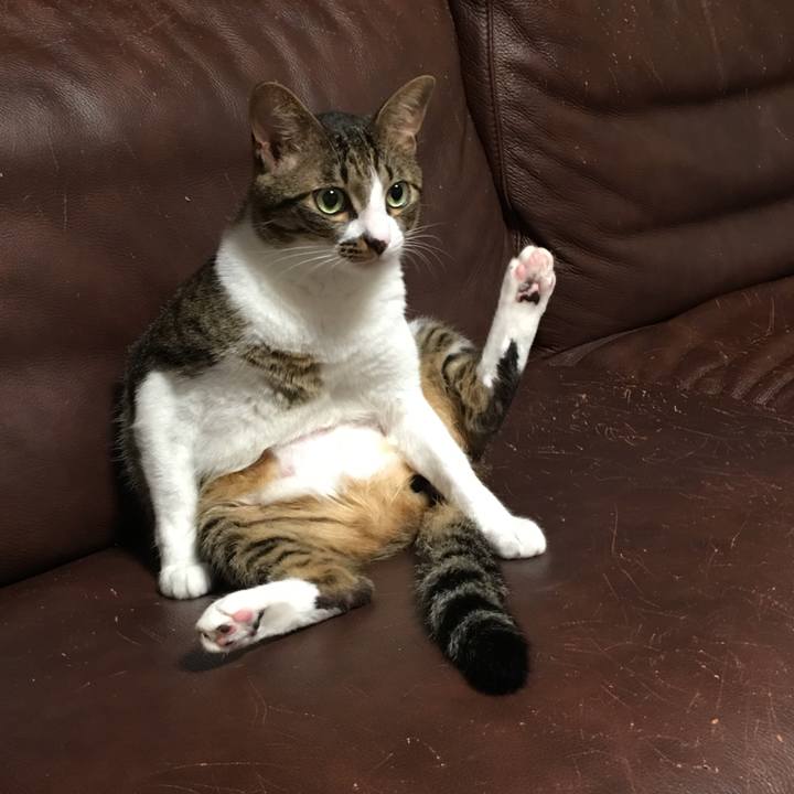 55dbe677 db59 4c82 8c94 42d27e7f2380 1563622945097