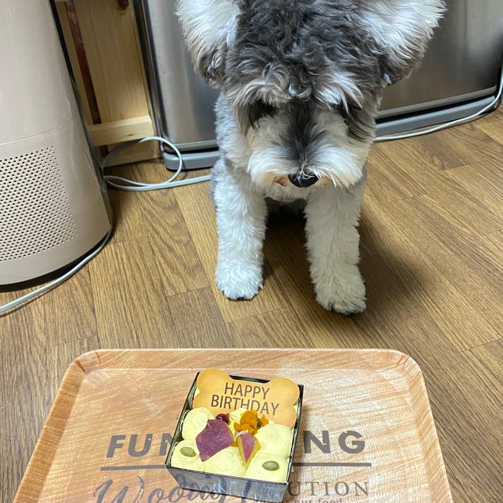 55dc18b6 b526 467a bf2f 7b08d7c10e99 1586697854889