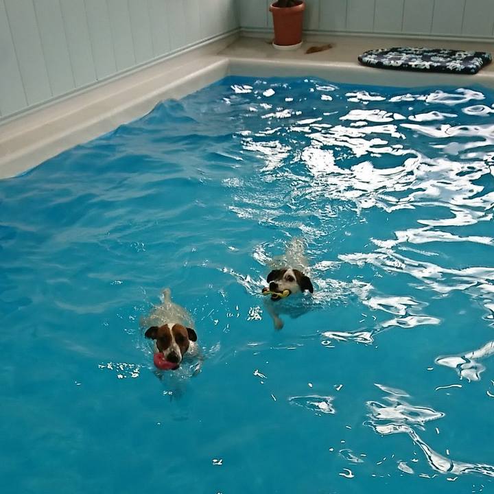 55dc2559 f44a 460e b935 9218055034ed 1583583394574