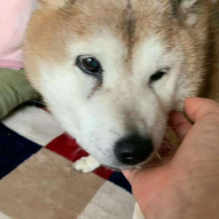 55dc2765 32ad 4c8a 9a12 b89ae202579c 1649805567714