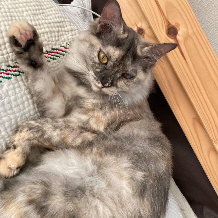 55dc3a84 4bb5 4847 82ec 8e866e4a3b56 1715843225988