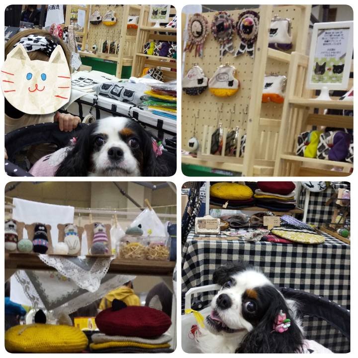 55dc40b3 27ee 4619 8f82 2321e6f12184 1574142282110