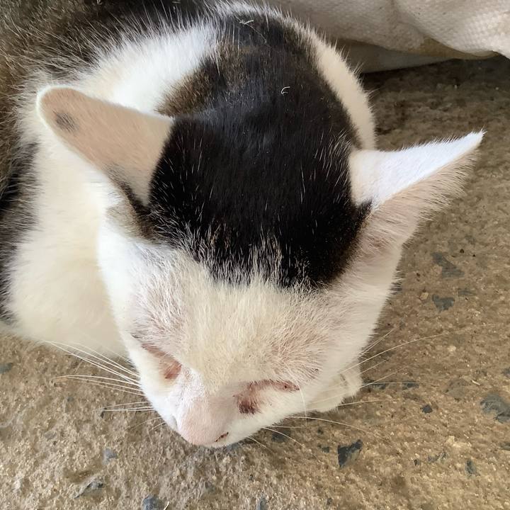 55dc7816 9438 494a 9198 014444776b20 1598686806709