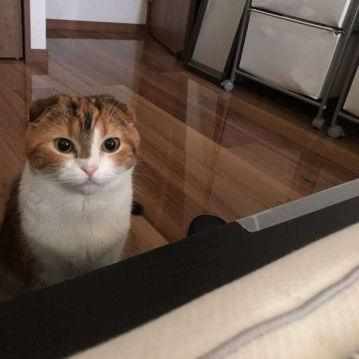 55dcc61a 4696 477f ab80 242989419eca 1541195242835