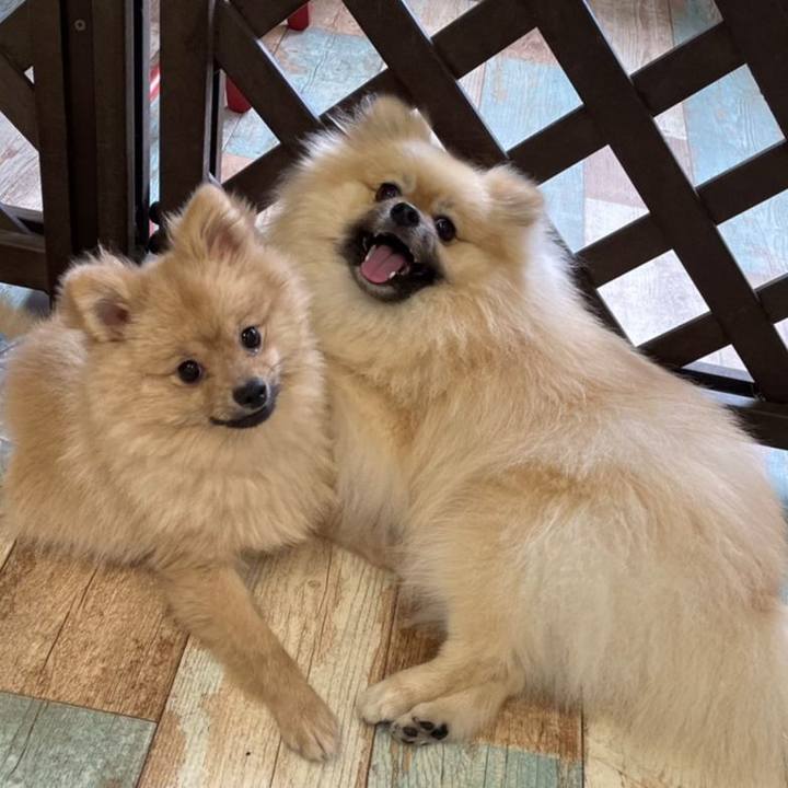 55dcec06 e8e1 47ce 8ad0 1d2184f3583d 1655613102952