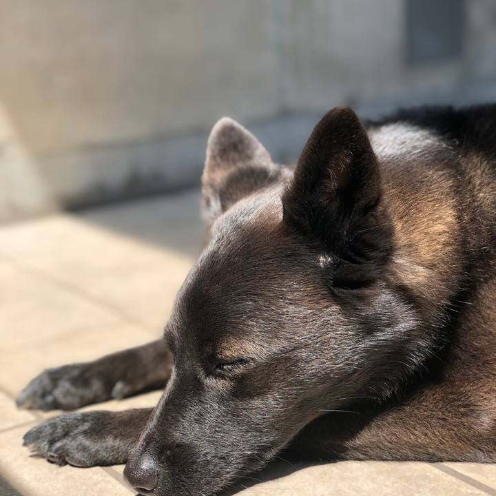 55dd21f4 64c2 4481 9f0f 2c7e3e0cc95b 1564111898610