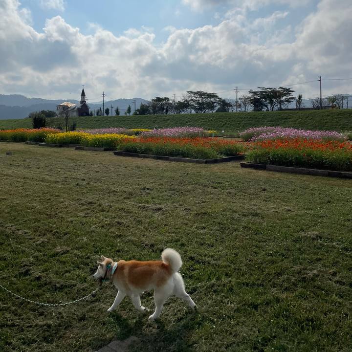 55dd6921 56fb 4895 b5ba cdf7cd7080cc 1633739646841