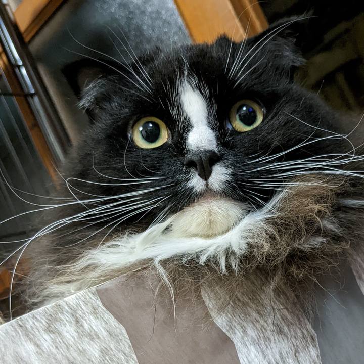 55dd76f6 a5d5 4079 a5e9 6367a9d34b22 1666428578320