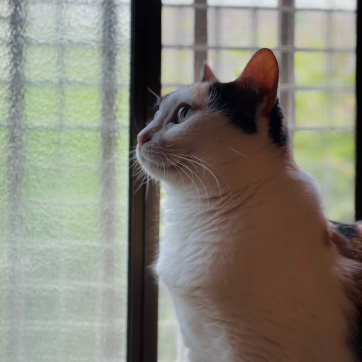 55dd7982 1020 4790 902c 93d6ea0e95e7 1657073438086