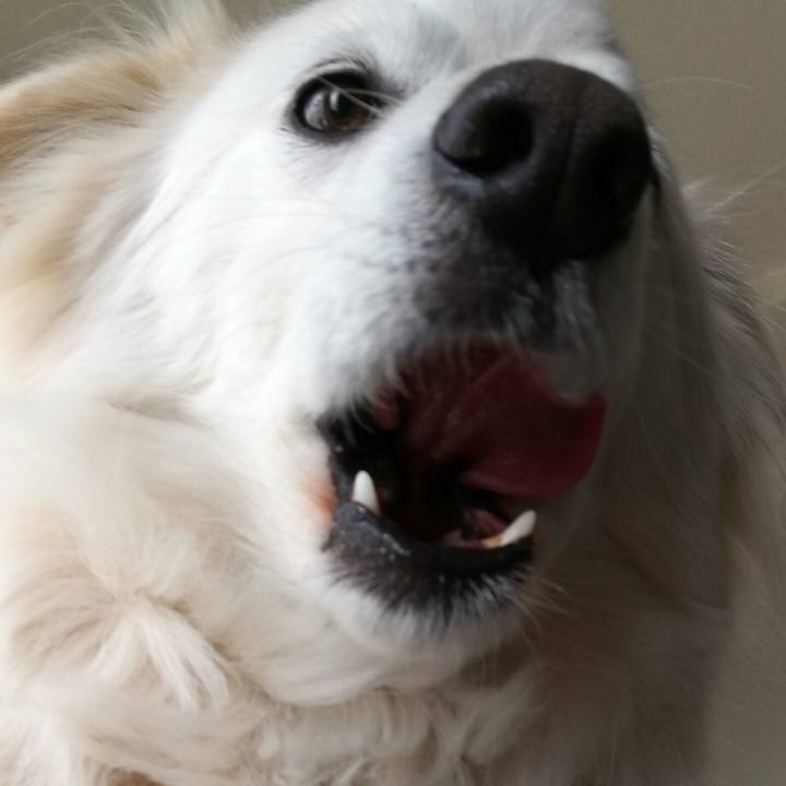 55dd7aad 610c 4ee2 a0dd 93c3c12878b2 1519559941550